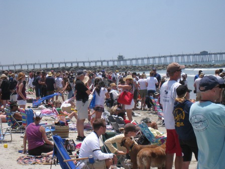 The crowd at Imperial Beach