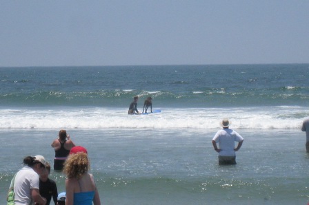 A dog being brought out for his next wave