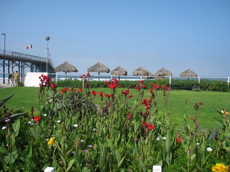 Flowers at Rosarito Beach Hotel