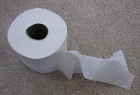 A Roll of Toilet Paper